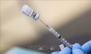 Pfizer thử nghiệm tiêm đại trà để đánh giá hiệu quả vaccine trong thực tế