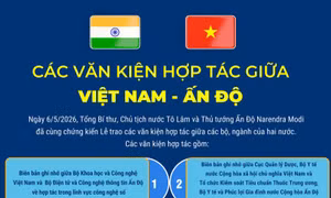 Các văn kiện hợp tác giữa Việt Nam - Ấn Độ