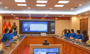 Trung ương Đoàn tổ chức học tập, quán triệt Nghị quyết Đại hội Đoàn toàn quốc lần thứ XII
