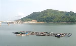  Siêu bão Mangkhut: Chủ động hạ thấp mực nước các hồ chứa để ứng phó mưa, lũ