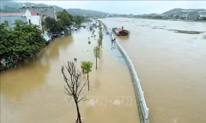 Lũ sông Hồng dâng cao, tràn vào đường phố Lào Cai