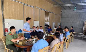 Lan tỏa tinh thần yêu thương, phục vụ trong cộng đồng người Công giáo Việt Nam