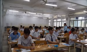 Phổ điểm thi đánh giá năng lực có sự phân tầng rõ rệt