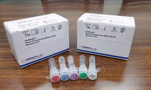 Công ty Hàn Quốc giành hợp đồng lớn cung cấp bộ xét nghiệm COVID-19 cho Mỹ