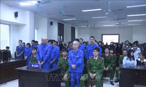 Xét xử vụ án 'Đánh bạc', 'Tổ chức đánh bạc' quy mô lớn