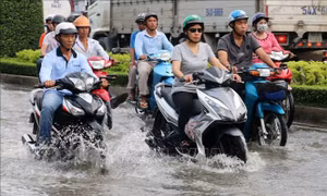 Triều cường, mực nước vùng hạ lưu sông Cửu Long có khả năng đạt đỉnh vào ngày 11 - 13/10