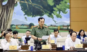 Phiên họp thứ 5 Ủy ban Thường vụ Quốc hội: Tập trung 4 vấn đề lớn trong sửa đổi Bộ luật Hình sự