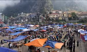 Công bố chỉ dẫn địa lý 'Hà Giang' cho sản phẩm thịt bò