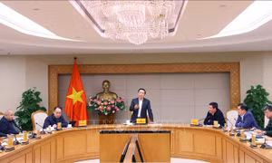Khẩn trương tháo gỡ vướng mắc cho các dự án điện khí, điện gió ngoài khơi