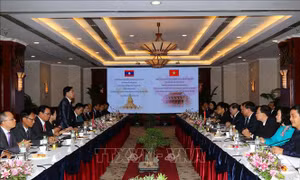 TP Hồ Chí Minh và Thủ đô Vientiane thúc đẩy hợp tác toàn diện, hiệu quả