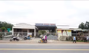 Tây Ninh: Làm rõ nghi án chồng giết vợ, con rồi tự sát