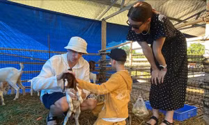 Du lịch Khánh Hòa trong không gian phát triển mới- Bài cuối: Chiến lược du lịch vươn tầm quốc tế