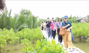 Xu hướng xanh hóa trong ngành 'công nghiệp không khói'