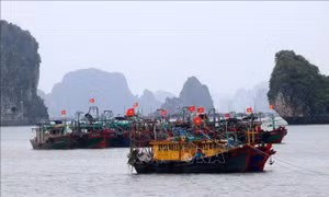 Các địa phương đảm bảo an toàn về người và tàu thuyền