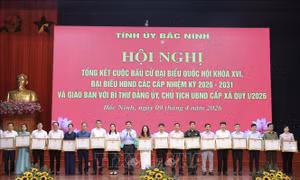 Ứng dụng hiệu quả chuyển đổi số trong tổ chức, điều hành công tác bầu cử ​