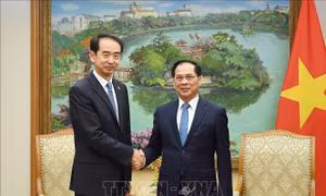 Phó Thủ tướng Bùi Thanh Sơn tiếp Đại sứ Trung Quốc Hà Vĩ