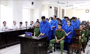Tuyên án các bị cáo trong vụ án cưỡng đoạt tài sản tại Tạp chí Môi trường và Đô thị Việt Nam