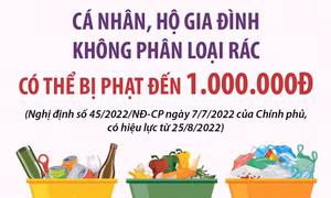 Cá nhân, hộ gia đình không phân loại rác có thể bị phạt đến 1.000.000đ