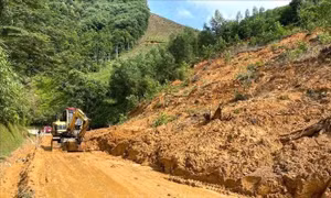 Hỗ trợ người dân phải di dời khẩn cấp khỏi vùng thiên tai