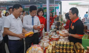 Các địa phương xúc tiến quảng bá và xây dựng thương hiệu cho nông sản