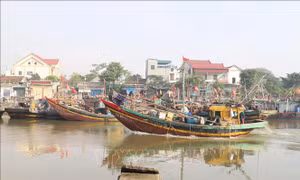 Cần đảm bảo nơi neo đậu, tránh trú bão cho tàu thuyền 