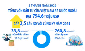 5 tháng năm 2026: Đầu tư của Việt Nam ra nước ngoài đạt 794,6 triệu USD