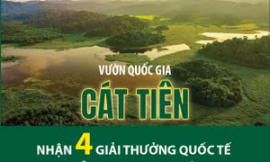 Vườn quốc gia Cát Tiên nhận 4 giải thưởng quốc tế về du lịch sinh thái