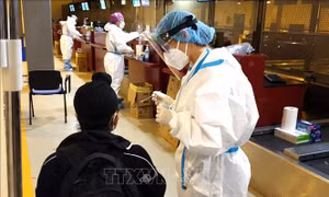 Italy kêu gọi EU áp đặt xét nghiệm COVID-19 đối với người nhập cảnh từ Trung Quốc