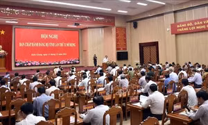 Kiên Giang: Phấn đấu hoàn thành cao nhất chỉ tiêu năm 2023