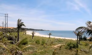 Công khai dự án chậm triển khai, kiên quyết thu hồi đất bỏ hoang