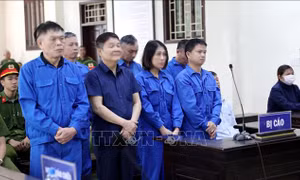 Tuyên án các bị cáo là cán bộ xã, huyện chuyển đổi mục đích sử dụng đất trái thẩm quyền