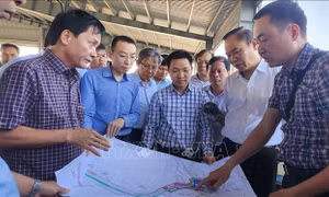Kiểm tra công tác chống khai thác IUU tại Bình Định