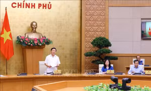 Xây dựng chính sách toàn diện để triển khai hiệu quả Luật Khám bệnh, chữa bệnh