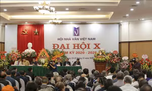 Tìm kiếm con đường mới cho sự phát triển của văn học Việt Nam