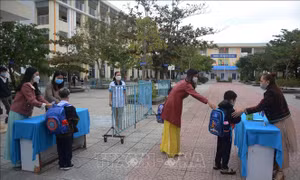 Bộ GD-ĐT hướng dẫn tổ chức dạy học, đánh giá học sinh tiểu học