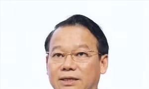 Cho thôi làm nhiệm vụ đại biểu Quốc hội đối với ông Đỗ Đức Duy