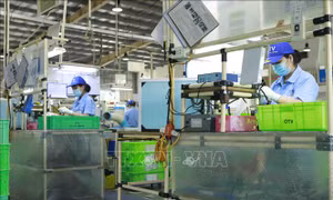 Doanh nghiệp Canada lạc quan về triển vọng kinh tế Việt Nam trong trung hạn