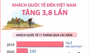 11 tháng, khách quốc tế đến Việt Nam tăng 3,8 lần
