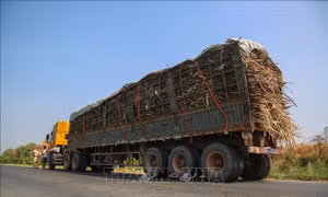 Quyết liệt kiểm tra, xử lý vi phạm xe quá khổ, quá tải