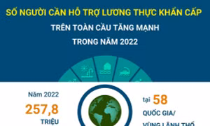 Số người cần hỗ trợ lương thực khẩn cấp trên toàn cầu tăng mạnh trong năm 2022 