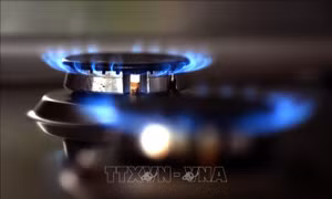 Mỹ: 12,7% số trẻ em mắc bệnh hen suyễn liên quan đến đun nấu bằng gas