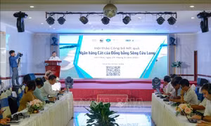 Công bố kết quả nghiên cứu Ngân hàng cát cho Đồng bằng sông Cửu Long