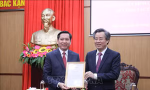 Điều động, luân chuyển ông Nguyễn Long Hải giữ chức vụ Phó Bí thư Tỉnh ủy Bắc Kạn