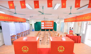 Bầu cử Quốc hội và HĐND: Truyền thông, học giả quốc tế đánh giá cao ý nghĩa của sự kiện