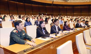 Ngăn chặn thất thoát ngân sách trong đấu giá tài sản