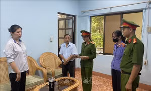 Bắt tạm giam kế toán Chi nhánh Văn phòng Đăng ký đất đai Lộc Ninh, Bình Phước