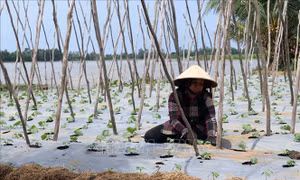 Sau 2 năm thực hiện Nghị quyết 120 của Chính phủ - Bài cuối: Biến thách thức thành cơ hội 