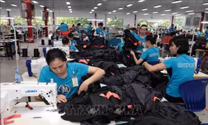 Ngành dệt may kỳ vọng tăng trưởng mạnh về cuối năm