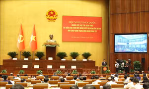 Giữ vững kỷ cương từ gốc, mở đường cho phát triển