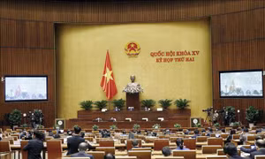 Thông cáo báo chí số 5, Kỳ họp thứ 2, Quốc hội khóa XV